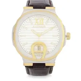 AIG TAV-G SS/GP CASE SIL DIAL BRN LTR STP