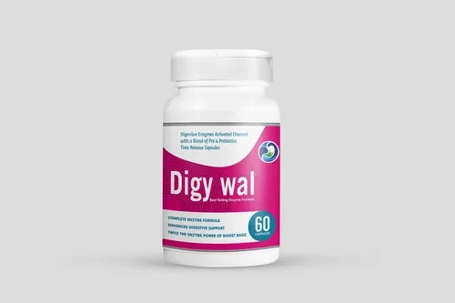 DIGY WAL 60S