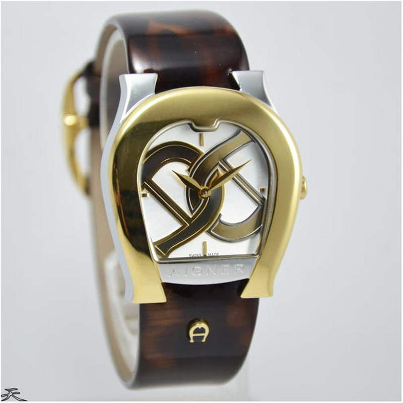 AIG AOS-L SS/GP CASE DIAL BRN LTR STP